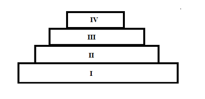 Pyramid of biomass