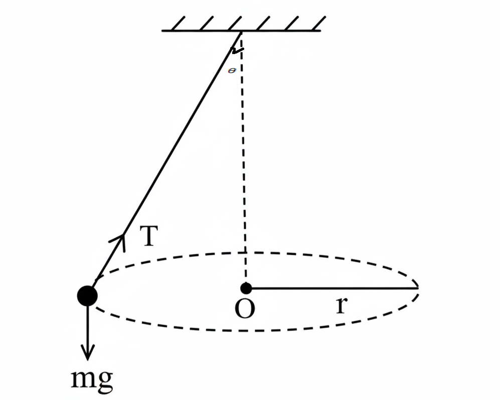 A string and then whirled around in a horizontal circle 